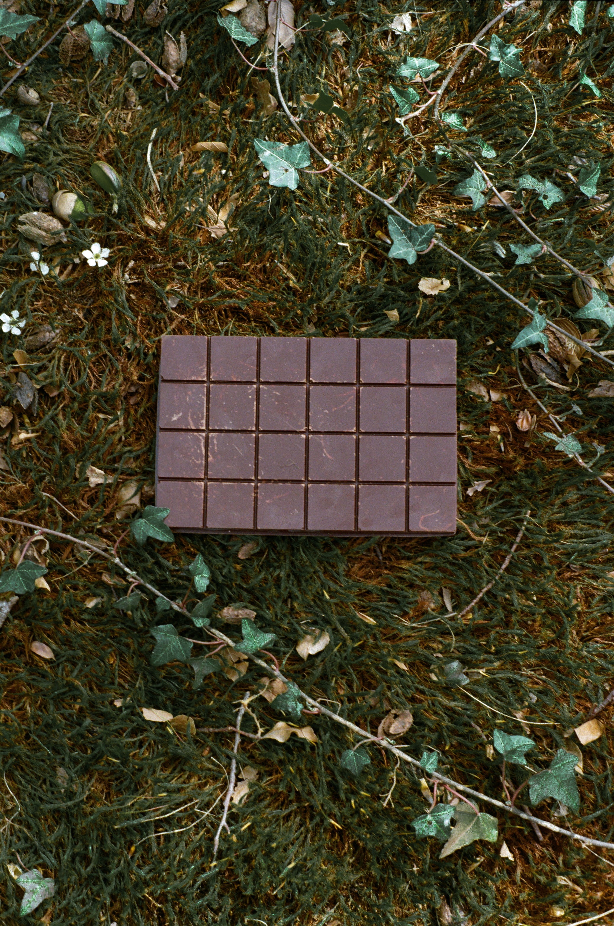 Blue Lotus - Cacao blend
