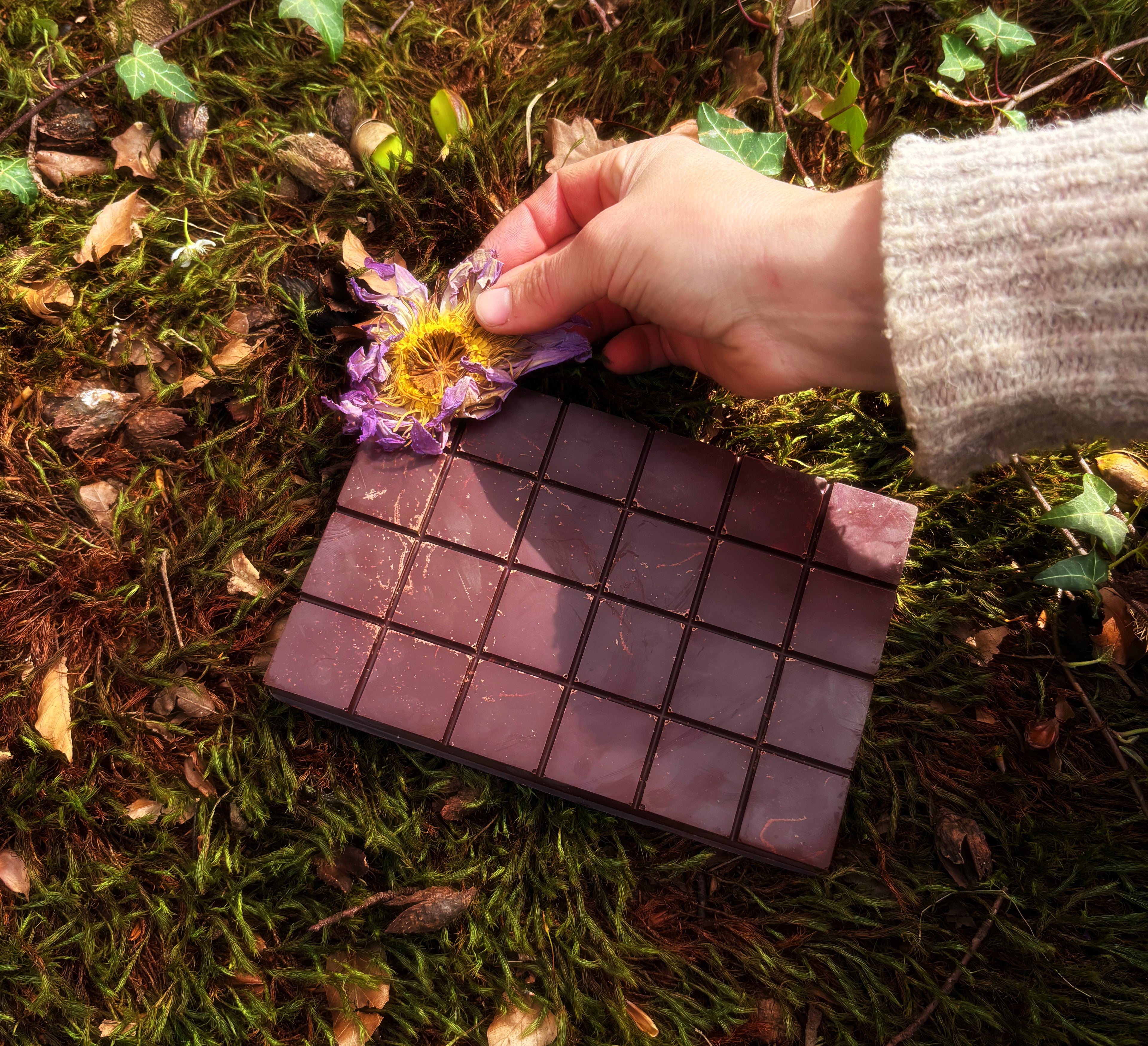 Blue Lotus - Cacao blend