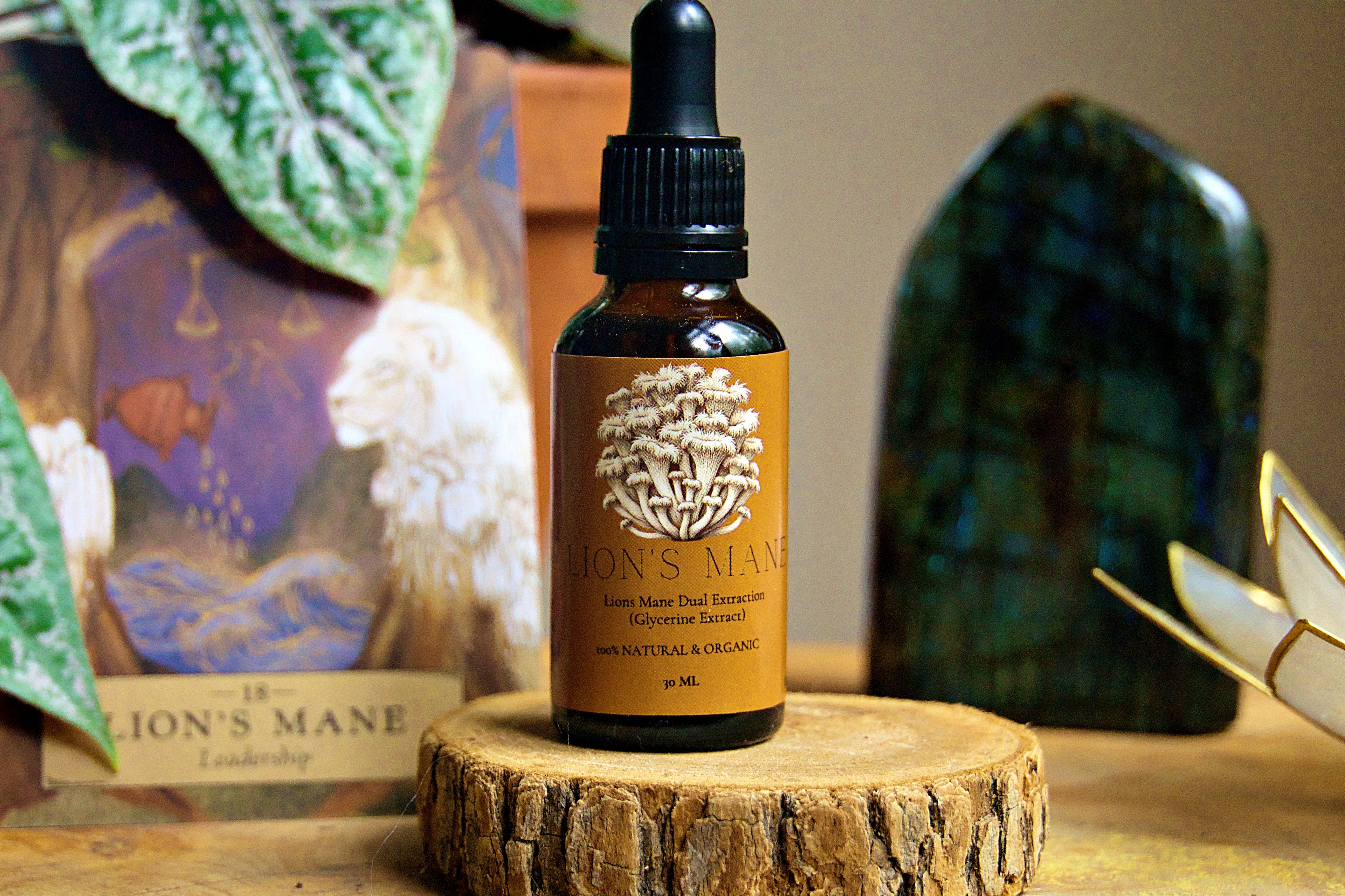 Lion's Mane Extract